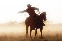 PC round up !