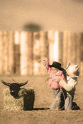 PC round up !